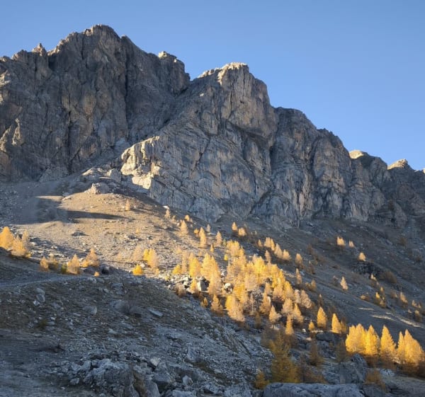 Col de Fours - Enchastrayes - 1
