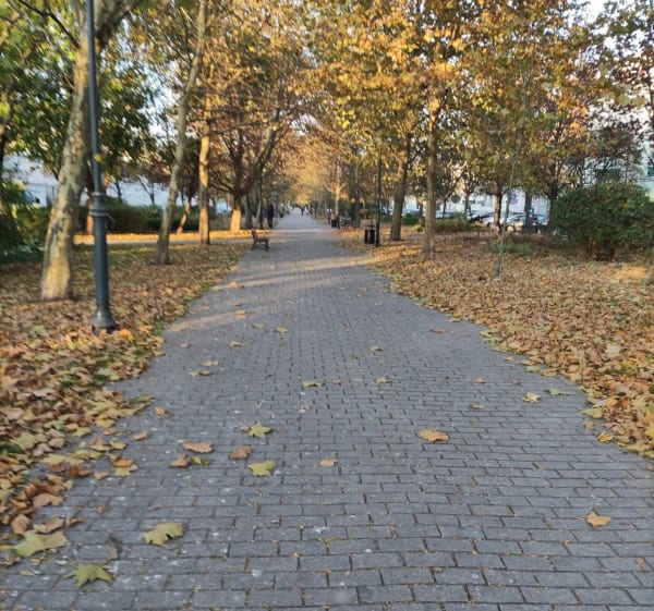 Pętla wokół Śródmieścia - Kalisz - 1
