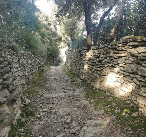 Randonnée autour d'Aubais - Aubais - 1