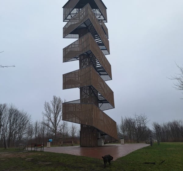 Szachty mpk - Poznań - 1