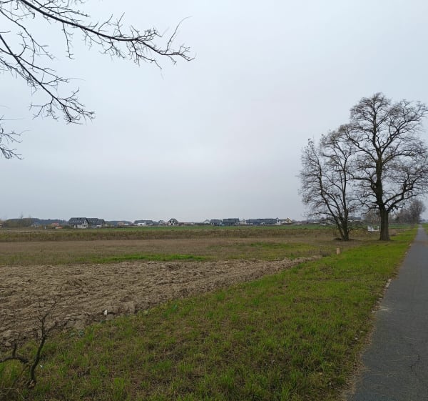 Dąbrowa- Dobroszyce - Nowosiedlice - 1
