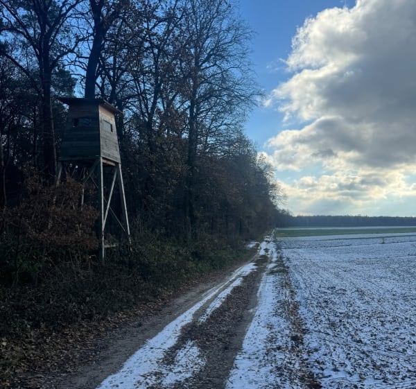 Pętla przy lotnisku w m. Świdnik Duży Pierwszy - Świdnik Duży - 1