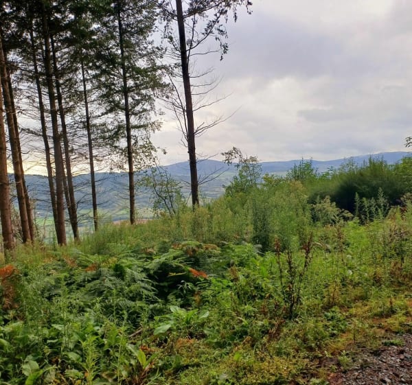 Balade par le Croix de l'Orme - Deux-Grosnes - 1