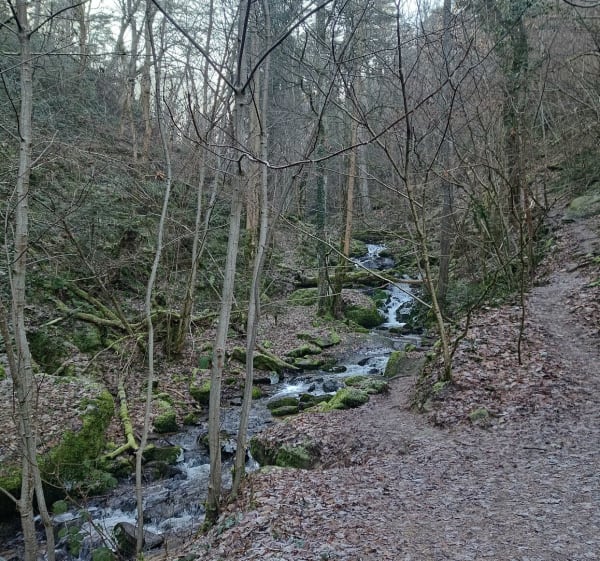 Forêt de Boisséjour + Rocher Gargantua au rythme des enfants - Ceyrat - 1