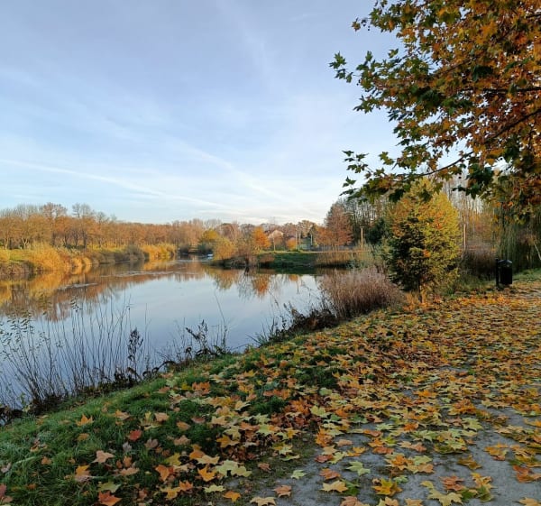 Sieradzkie parki - Michał - 1
