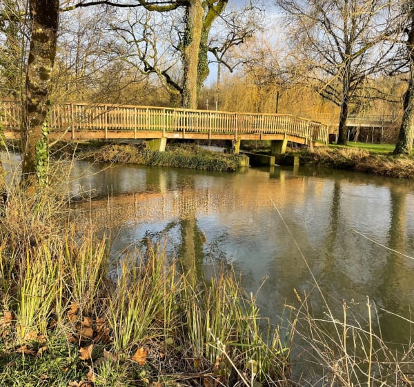 En suivant la rivière à Vivonne - Vivonne - 1