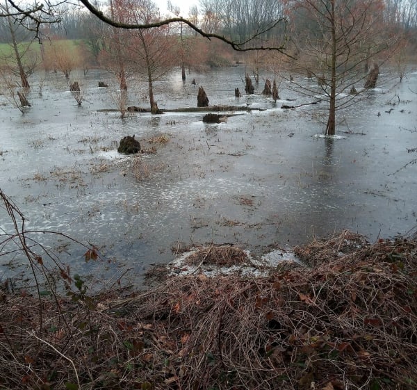 Entre Le Coteau et Commelle Vernay. - Roanne - 1