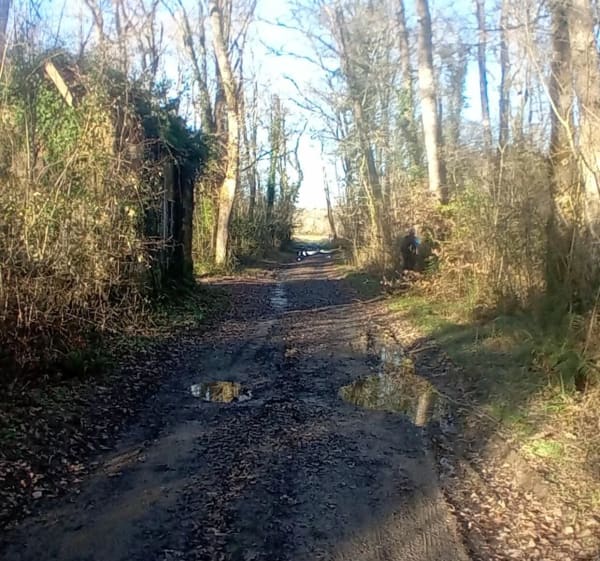 Autour de l'eau à Hagetmau - Momuy - 1