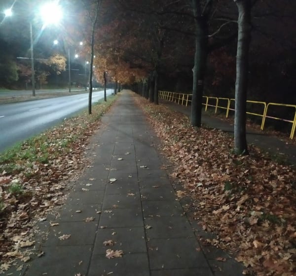 Pętla Parking Aldi-Park Glazja-Dworzec Miasto -Lubicka - Toruń - 1