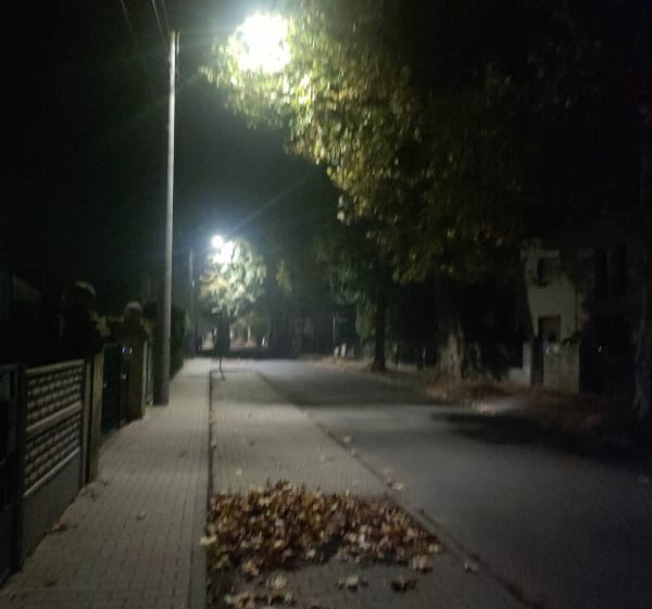 Trasa piesza spokojną okolicą - łatwa - Ostrów Wielkopolski - 1