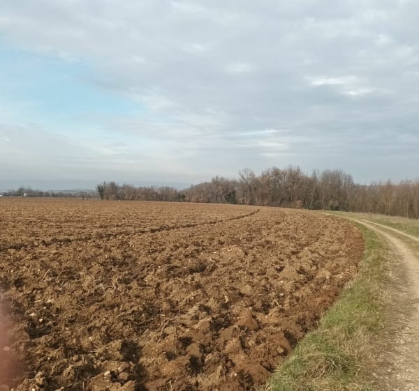 Les hauteurs du village de Saint Mamans - Rochefort-Samson - 1