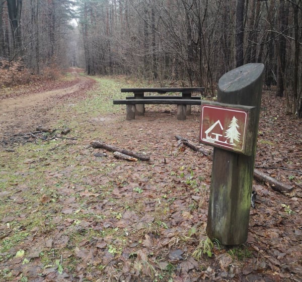 Śladami megalitów - Dąbrowa Górnicza - 1