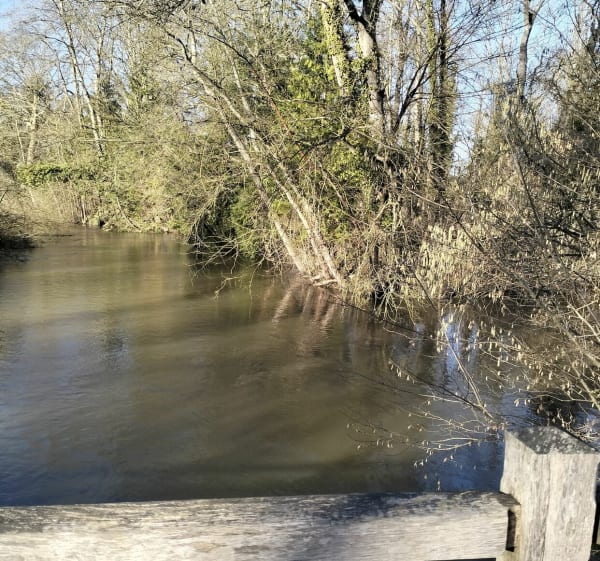 Chemin autour de Braine, par la Pépinière - Braine - 1