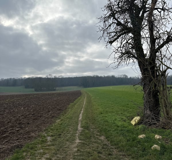 Balade tranquille autour des champs de Frépillon - Frépillon - 1