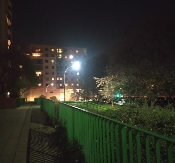 Spacer po Stegnach południowych (staw, park) - Warszawa - 1