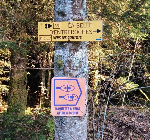 La belle d'Entreroche - La Longeville - 1