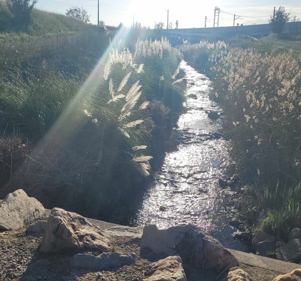 Chemin découverte autour de Toulouges par la Bassa - Toulouges - 1