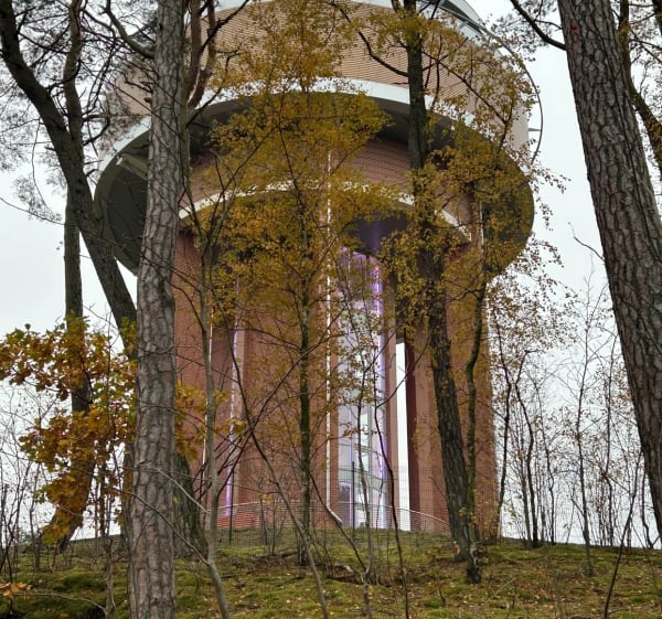 Las Mierzei - Gdańsk - 1