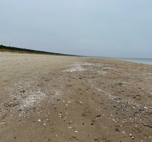 Trasa przy hotelu Orle - Gdańsk - 1