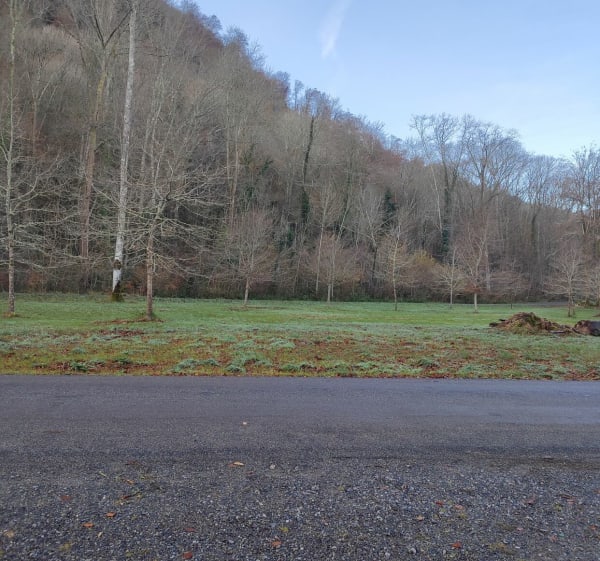 Promenade au bois de Lourdes - Lourdes - 1