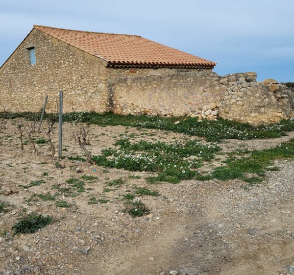 Balade gare de la Franqui - Leucate - 1