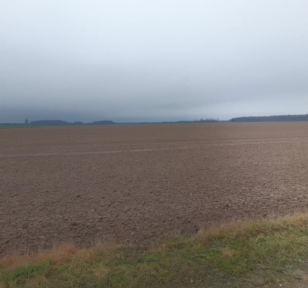 Randonnée les breviaires le perray - David - 1