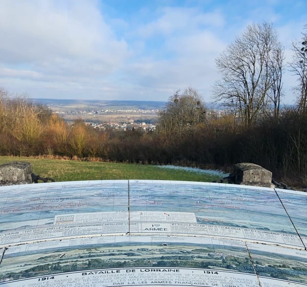 Balde au Haut-du-Mont - Charmes - 1