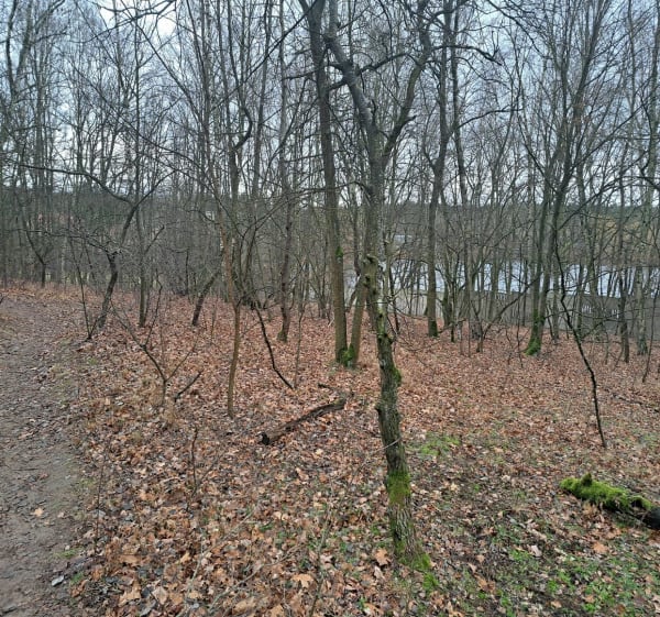 Dookoła Zoo - Krzysztof - 1