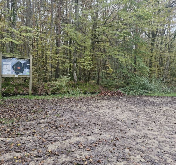 Balade en forêt de Russy - Chailles - 1