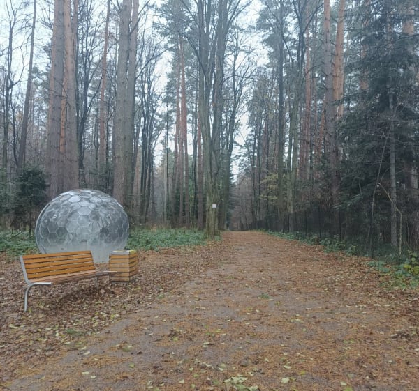 Leśne Molo na górze miejskiej w Starym Sączu - Stary Sącz - 1