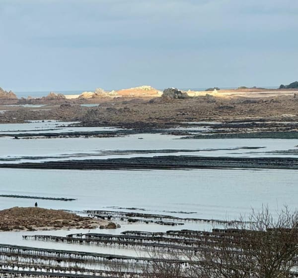 Balade vers Gouermel menant à la Roche jaune et Penvénan - Penvénan - 1