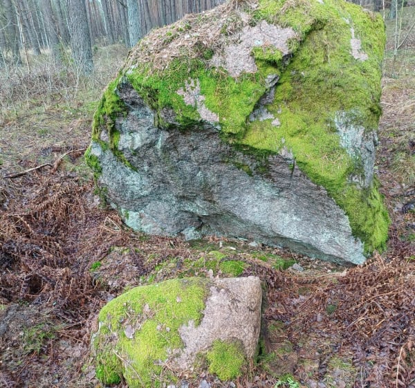 Pętla przy Okonek - Okonek - 1