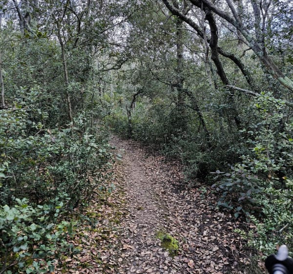 Boucle de Limoux à La Digne-d'Aval - Limoux - 1