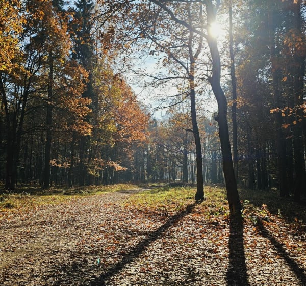 Tychy Zameczek - Przystań - Tychy - 1