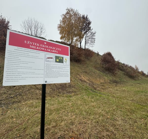 Trasa widokowa wzdłuż rzeki Bystrzyca w m. Łysaków - Turka - 1