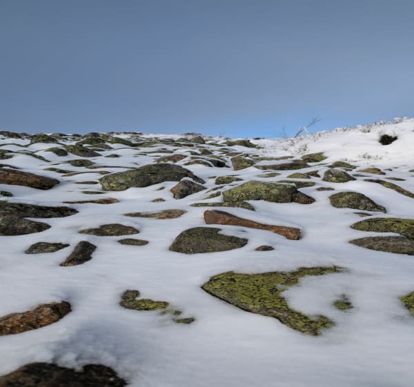 Crêt de la perdrix et crêt de la chèvre - La Valla-en-Gier - 1