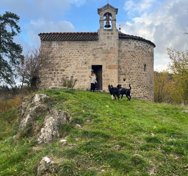 Laval et le Bois du Puy - Sainte-Sigolène - 1