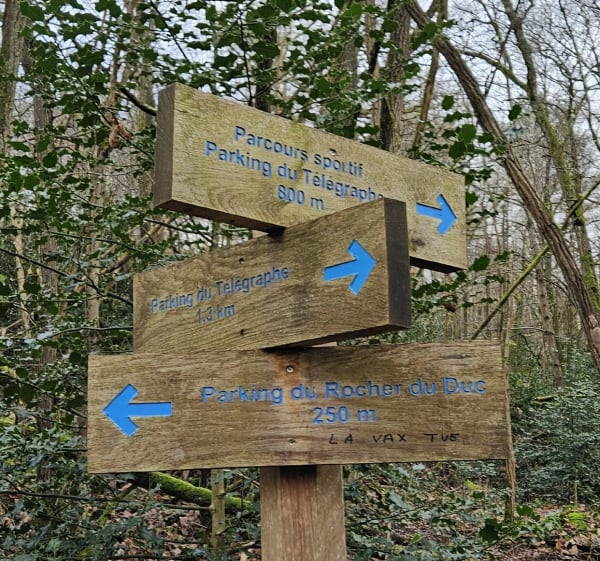 Boucle des Grands Avaux, et Tour du Buisson - Champcueil - 1
