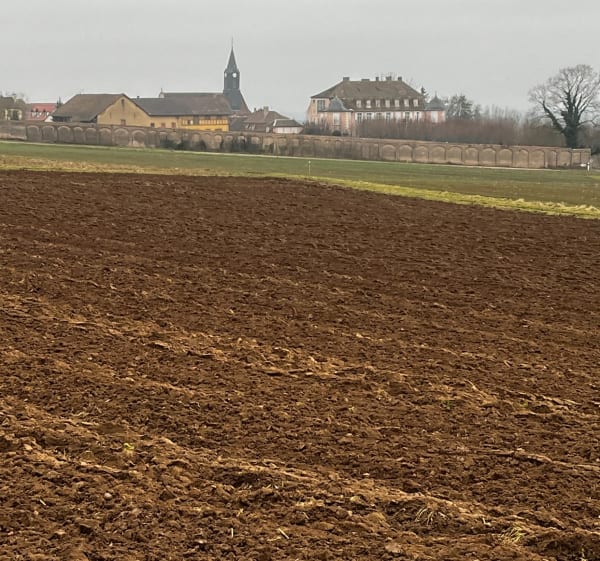 Boucle autour de Kolbsheim en passant au-dessus de l’A4 - Ernolsheim-Bruche - 1