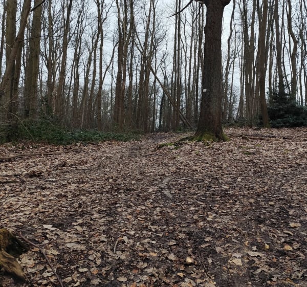 Petit balade en partant de Villetaneuse - forêt pisco - Groslay - 1