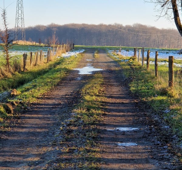 Balade des chevaux - Lachapelle-Sous-Rougemont - 1