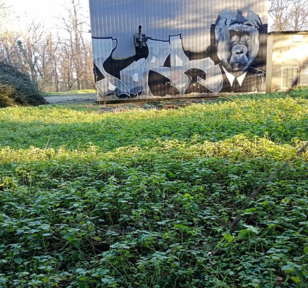 Balade en bois de Donzy - Donzy-le-Pertuis - 1