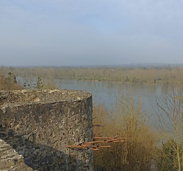 Bord de Loire - Ancenis-Saint-Géréon - 1