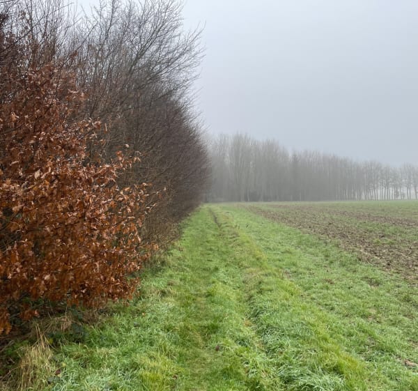 Chemins pédestres d’Humbercamps au départ de Saint Amand - Saint-Amand - 1