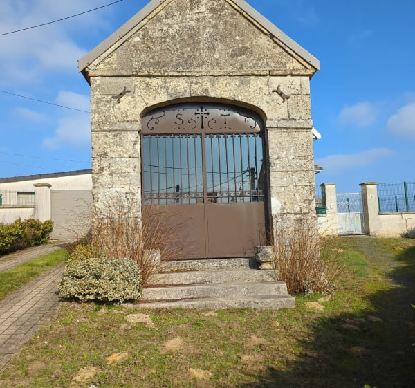 Balade hivernal forêt et vigne à Trigny - Trigny - 1