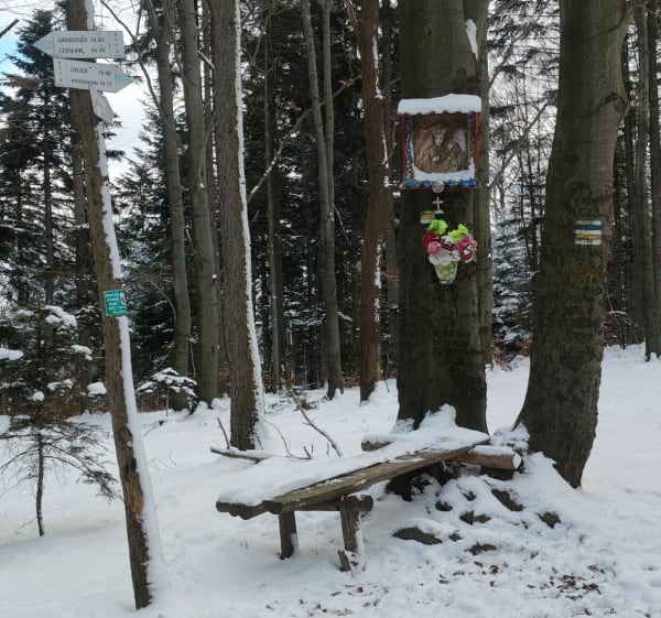 Pętelka na Cięcień - szczyt Beskidu wyspowego - Pogorzany - 1