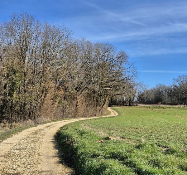 Balade à travers champs et bois à La Vallade - Magnac-sur-Touvre - 1
