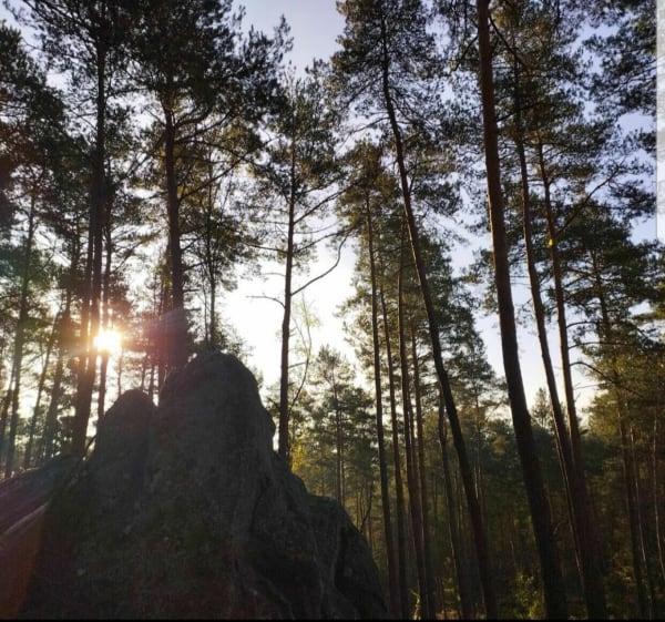 Gorges de Franchard depuis Apremont - Fontainebleau - 1
