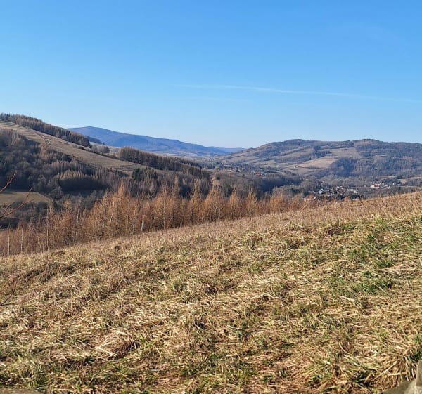 Spacer na Grzywacką Górę - Kąty - 1