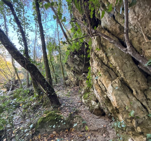 La Gaude le long de la Cagnes - La Gaude - 1